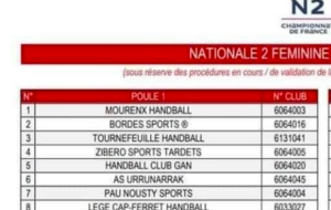 N2 - LA POULE 1