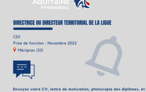 La Ligue Nouvelle Aquitaine recherche son directeur (trice) territorial 