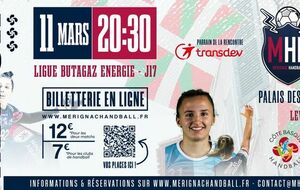 LFH - J17 : pourquoi Mérignac va jouer à Bayonne le 11 mars