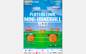 Plateau final Mini-Handball 