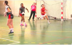 Vidéo - N3T - J3 - Laura Delmas (Bruges 33 Handball) affutée