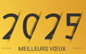 Bonne année 2025