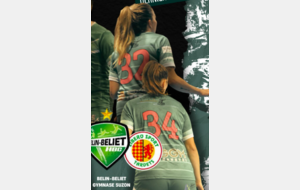 Excellence régionale - Poule A - J22 - Belin Beliet termine la saison sur un revers 