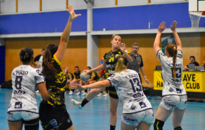 N3T - J2 - Les Girondines de Bordeaux plus fortes que Villenave