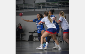 N3T - J6 - Les Bordelaises bousculées mais victorieuses