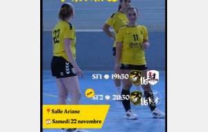 Les affiches à Saint Médard Handball