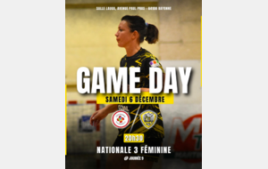 L'affiche - Nationale 3 Territoriale - Poule A - J9 - Les Villenavaises en terrain basque