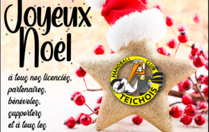 Le HC Teichois vous souhaite de bonnes fêtes