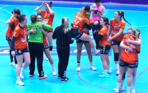 Highlights - D2 - J10 - Pessac prend sa revanche sur Bègles