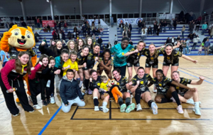 Nationale 1 - Poule 1 - J14 - Mios relève la tête