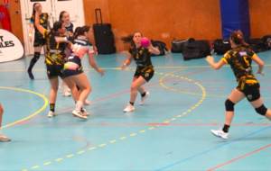 Nationale 3 Territoriale - Poule A - J20 - Villenave assure son maintien