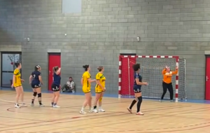 Highlights - Excellence régionale - Poule B - J20 - Cestas est tombée sur un os
