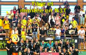 Reportage - Réserve de Mios Biganos - Titre et montée en N3T
