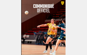 Nationale 1 - US Mios Biganos - Emily Aly éloignée des parquets