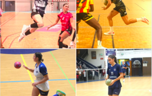 Les Stats d'Olivier Dumon - Championnats nationaux séniors - Le Top 5 pour 4 joueuses de champ