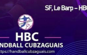 ED - J14 - HC Barpais / Handball Cubzaguais 
