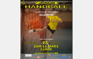 PN - J16 - Saint Médard Handball / Anglet Olympique Biarritz Handball 