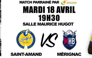 LFH - J20 - Saint-Amand-Les-Eaux Porte du Hainaut HB / Mérignac Handball 