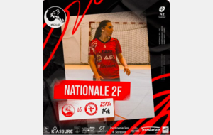 N2 - P2 - J20 - Saint Loubès Handball  / Celle sur Belle Mellois en Poitou Handball 
