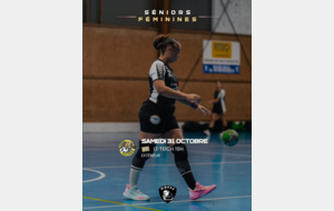 HBC Teichois / HC Saint Symphorien