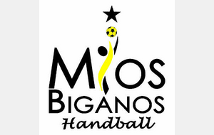 N1 - US Mios Biganos Handball 