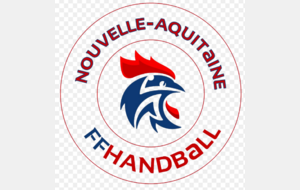 Ligue Nouvelle Aquitaine de Handball 