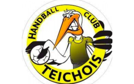 PR - J10 - Le Teich enfonce Paillet 