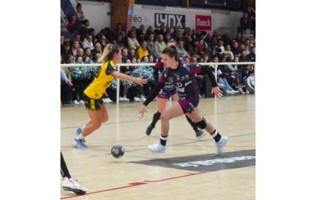 LFH - Mérignac perd 9 points