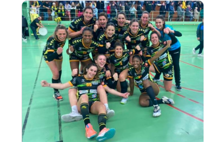 N1 - J15 - Mios maitrise son sujet !