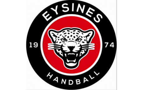 N3T - Play-down - Poule 1 - J6 - Eysines dans son palais 