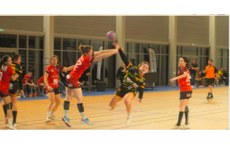 N1 - J21 - Mios battue à domicile !