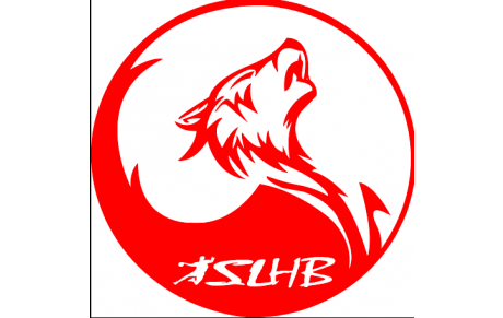 N2 - Poule 2 - J18 - Match arrêté à Saint Loubès 