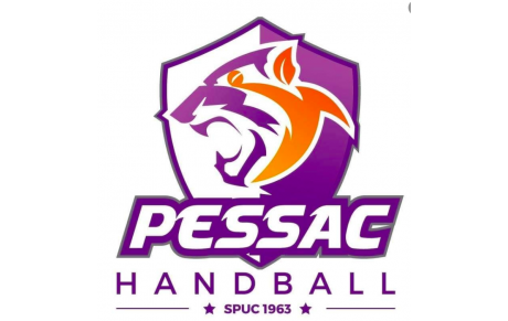 N3T - Play-off - J9 - Pessac la tête à l'envers 