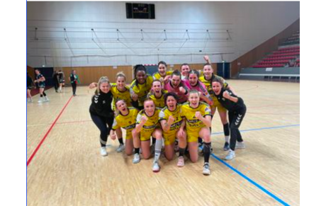 Vidéo - Prénationale - Poule B - J17 - Villenave première 