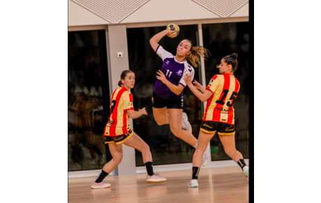 Nationale 2 - Poule 1 - J16 - La perf pessacaise