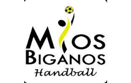 PN - US Mios Biganos HB