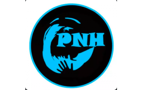 U17 - Pays de Nestes HB